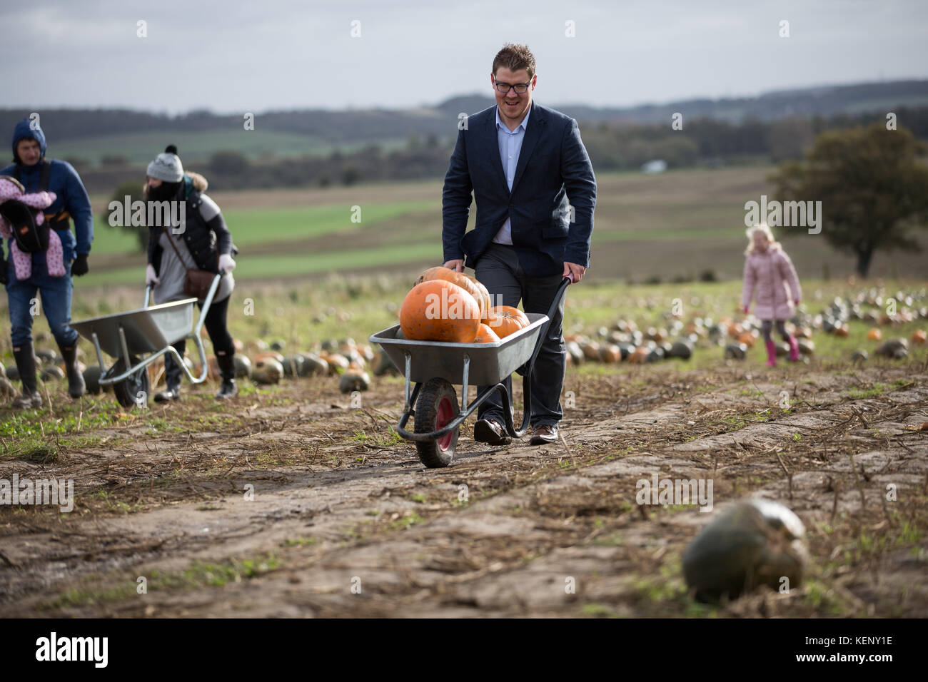 Copleys pumpkin hires stock photography and images Alamy