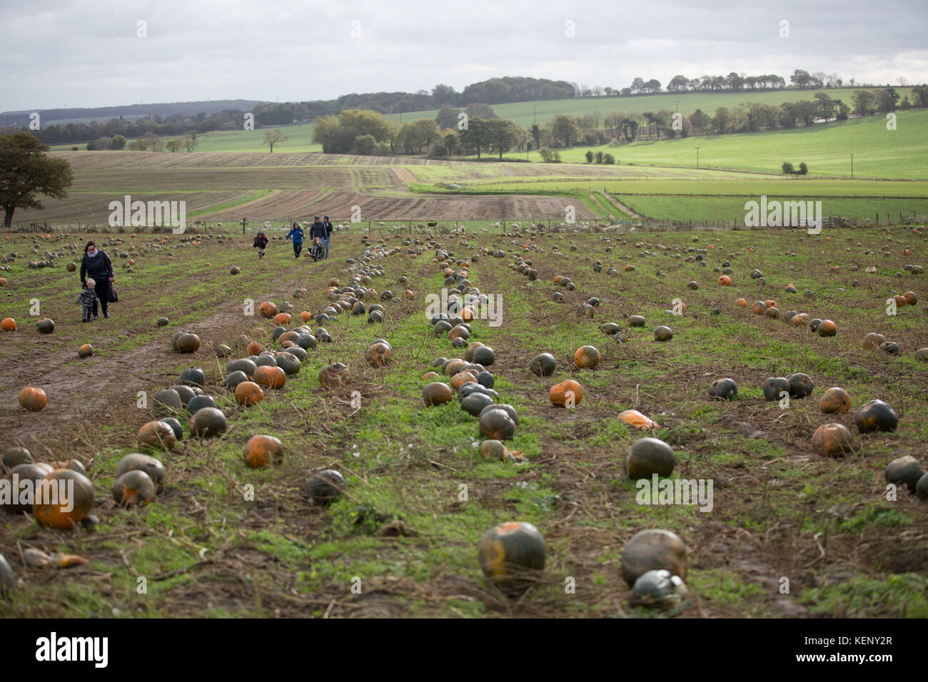 Farmer copleys hires stock photography and images Alamy