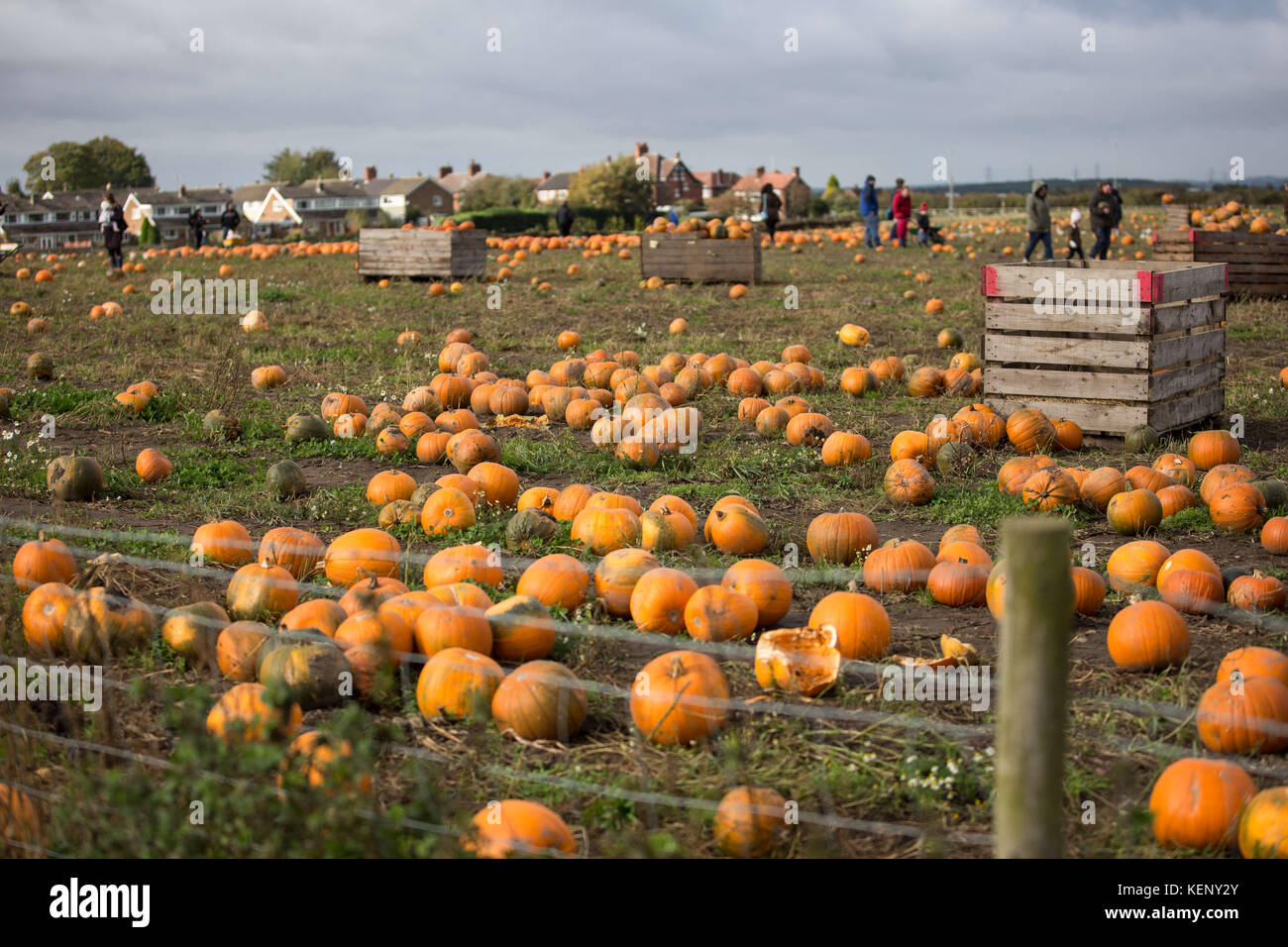 Farmer copleys hires stock photography and images Alamy