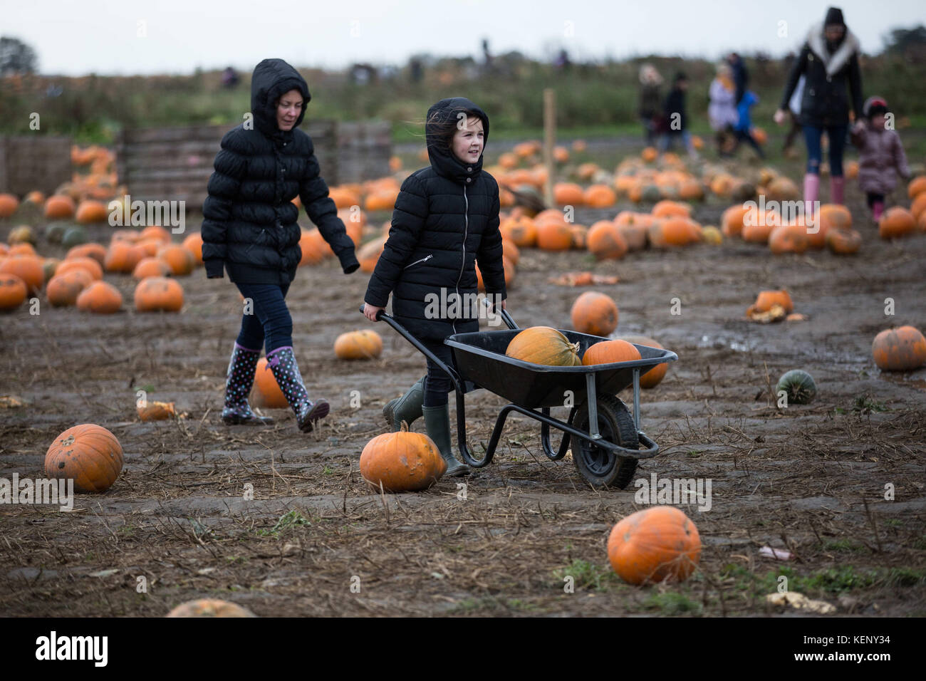Pontefract, UK. 22nd Oct, 2017. A girl holds a wheelbarrow with some