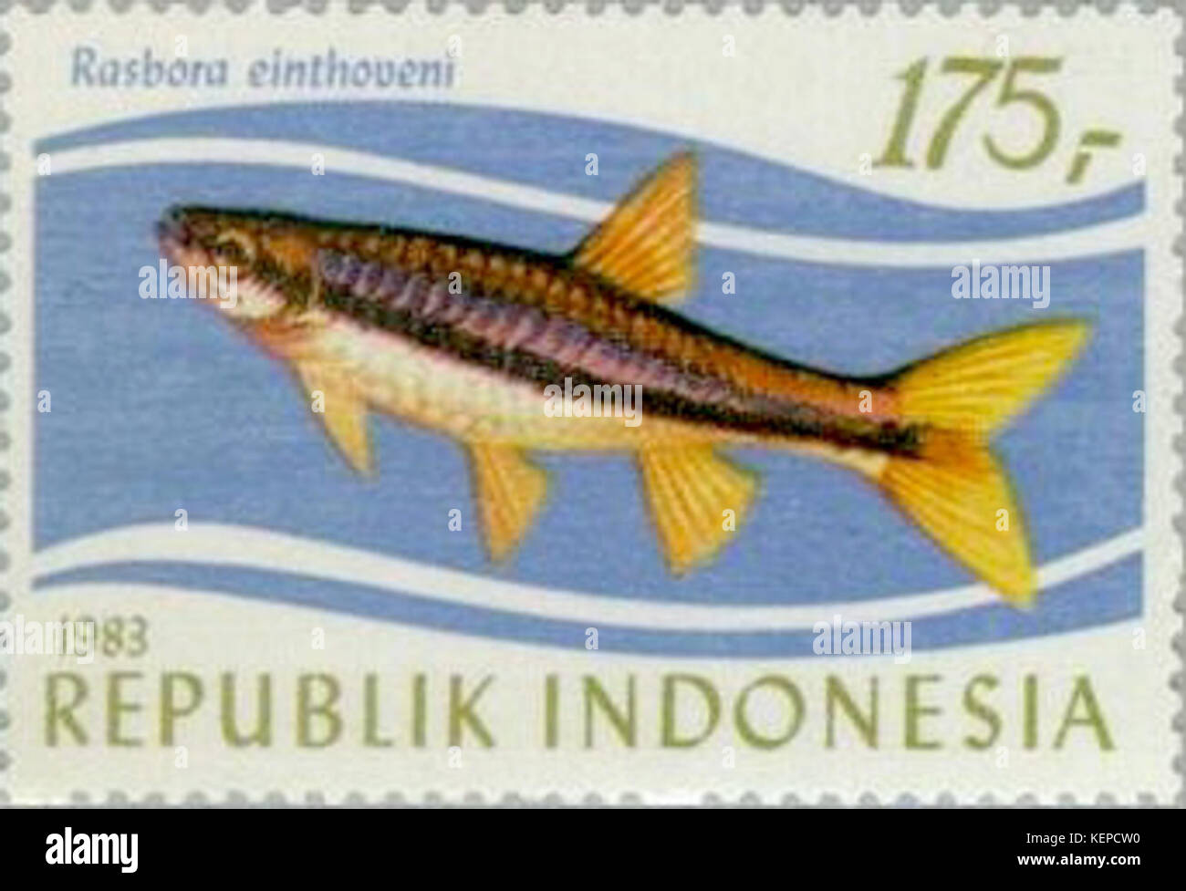 Rasbora einthovenii 1983 Indonesia stamp Stock Photo