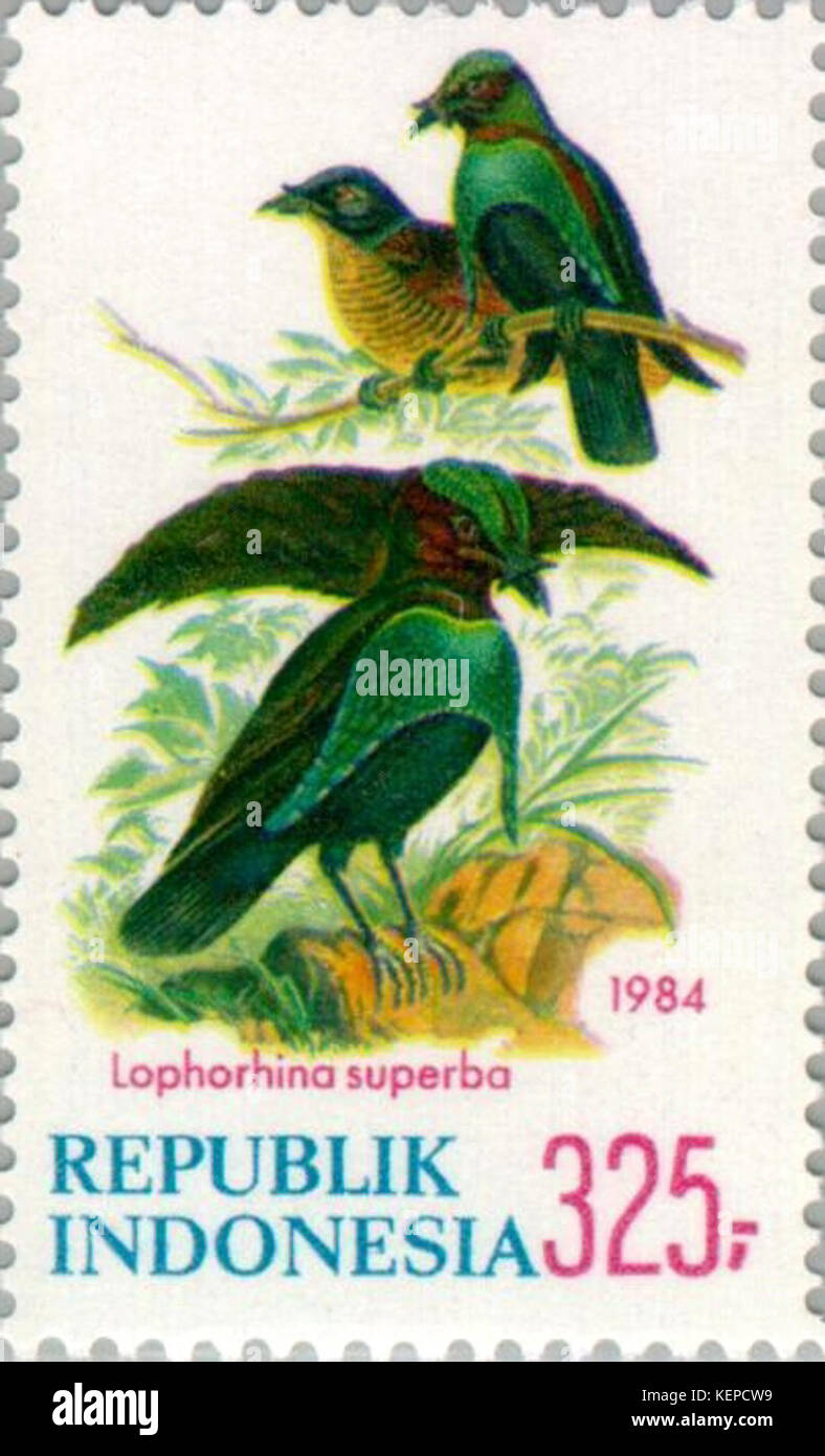 Lophorina superba 1984 Indonesia stamp Stock Photo