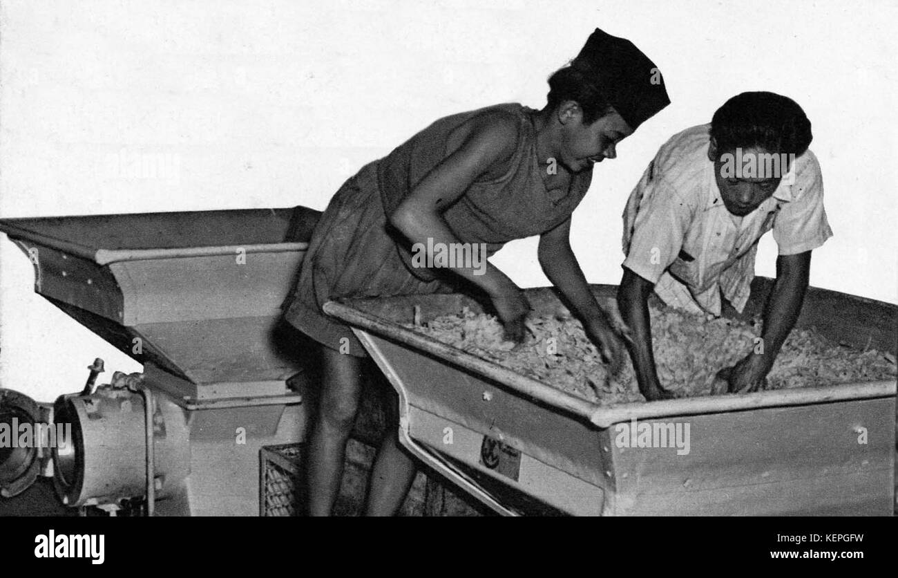 Soap production, Jakarta, Know Indonesia... Know Your Friend, p24 Stock