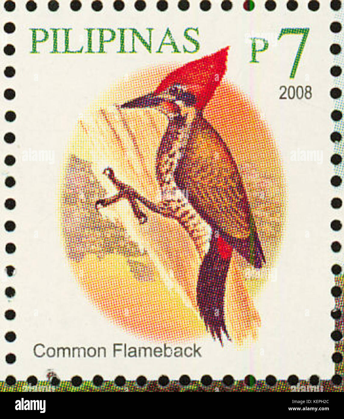 Dinopium javanense 2008 stamp of the Philippines Stock Photo