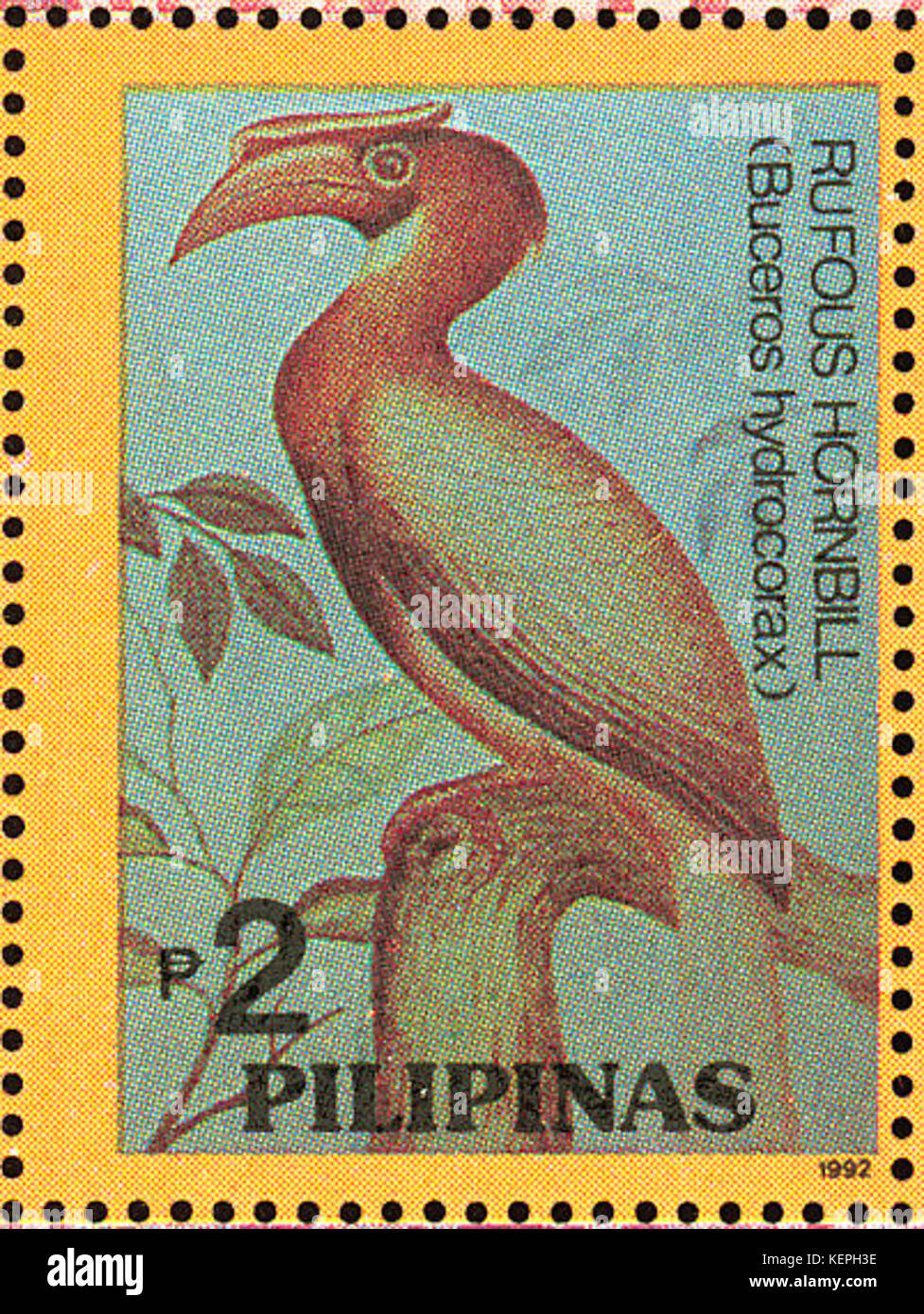 Buceros hydrocorax 1992 stamp of the Philippines Stock Photo