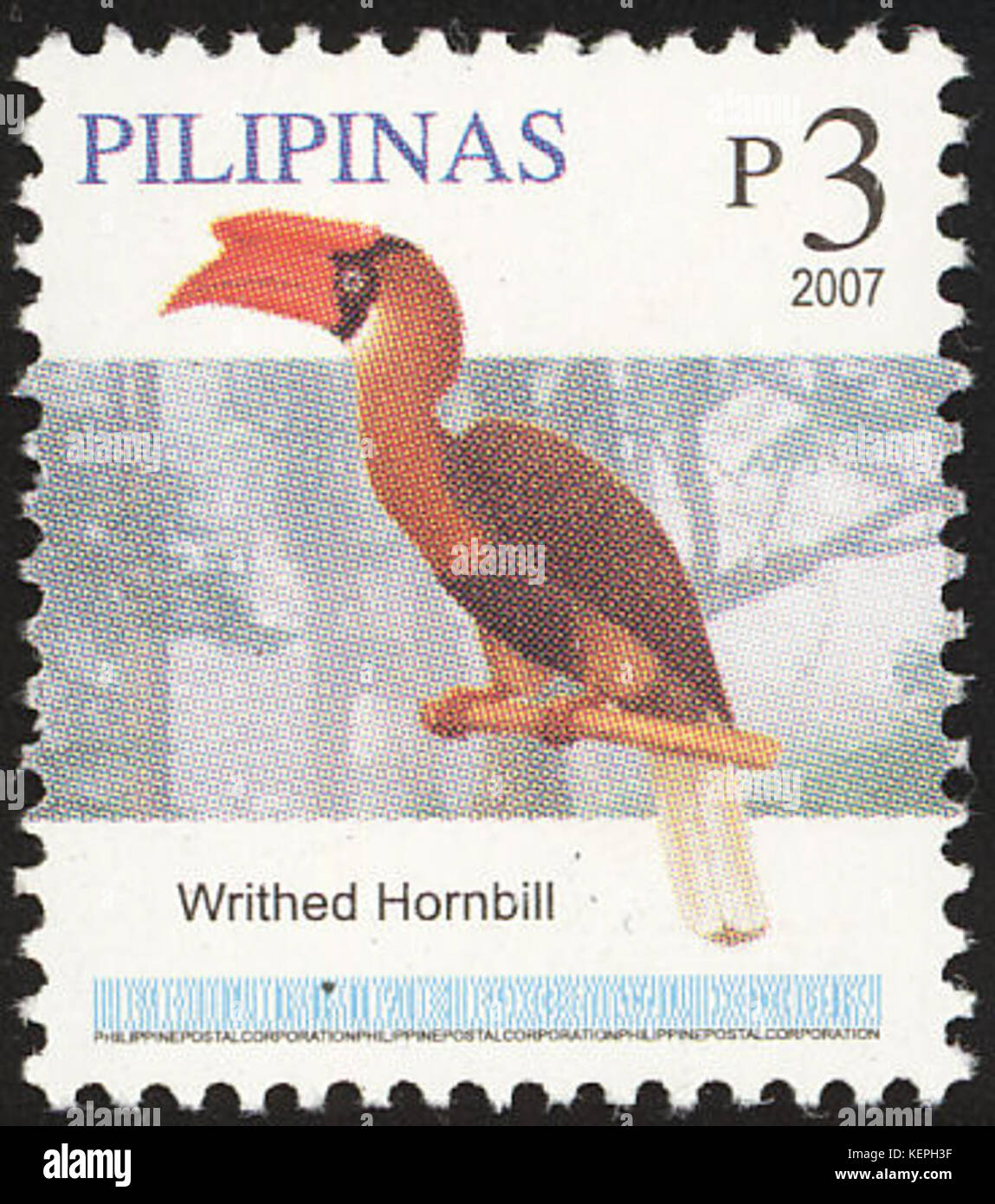 Buceros hydrocorax 2007 stamp of the Philippines Stock Photo