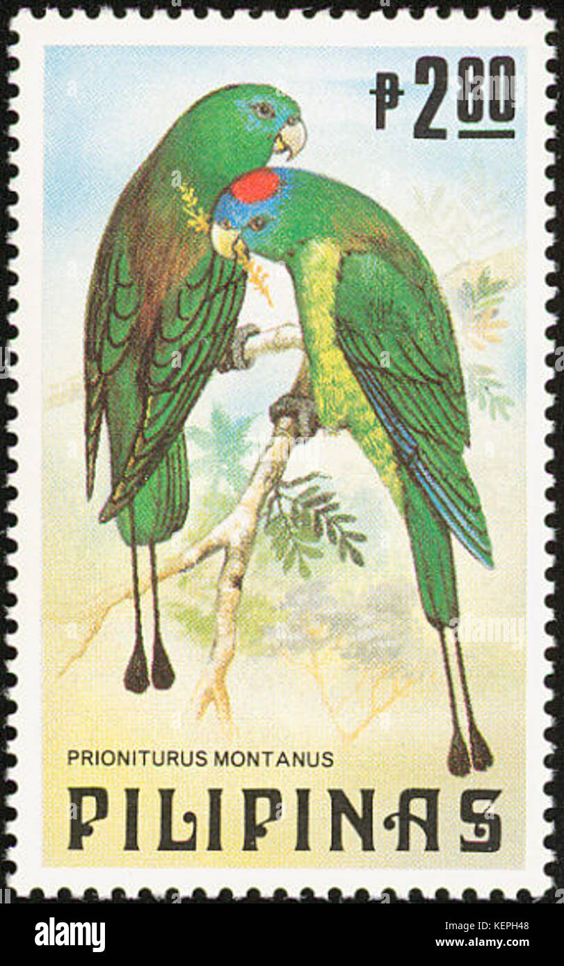 Prioniturus montanus 1984 stamp of the Philippines Stock Photo