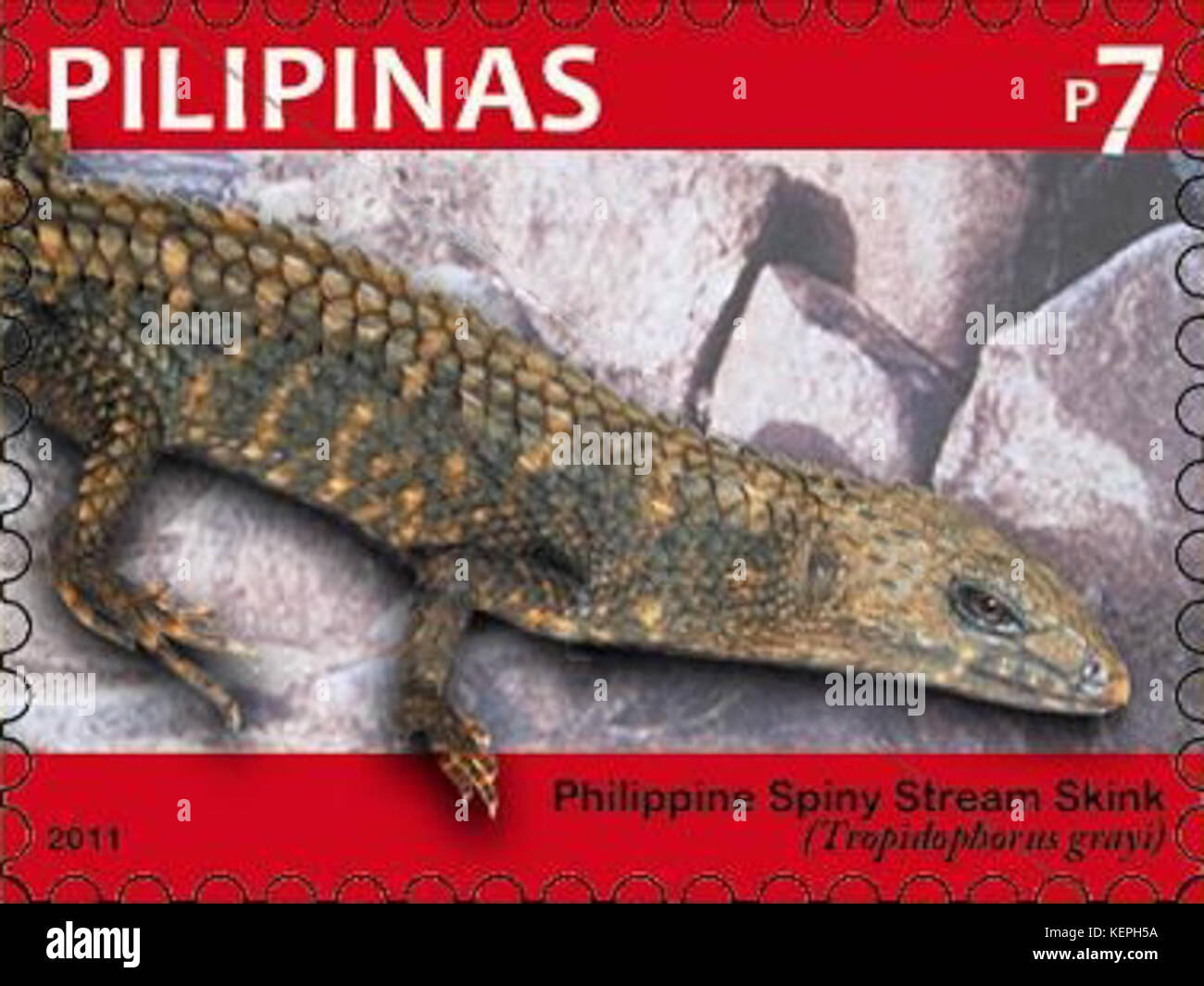 Tropidophorus grayi 2011 stamp of the Philippines Stock Photo