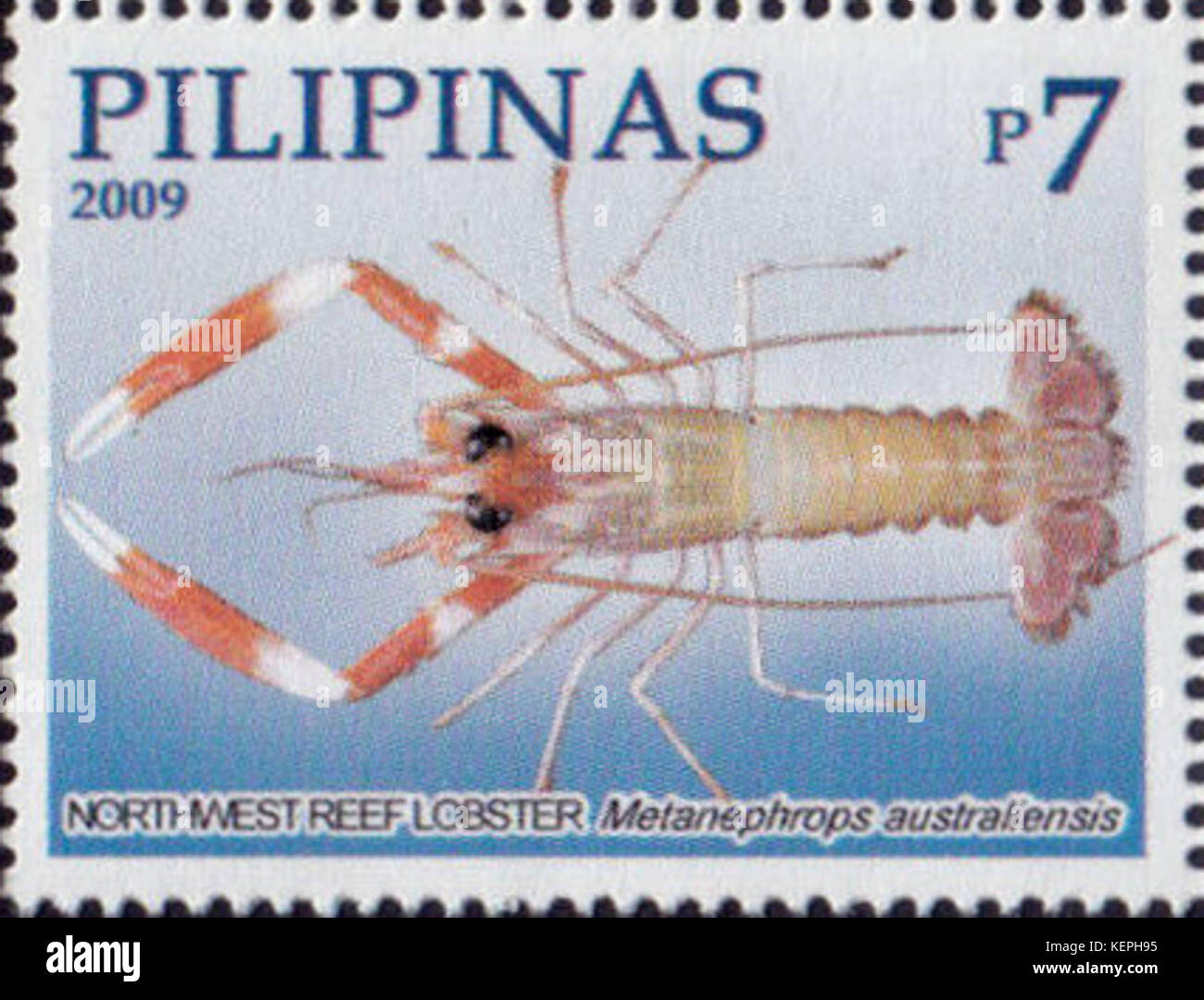 Metanephrops australiensis 2009 stamp of the Philippines Stock Photo