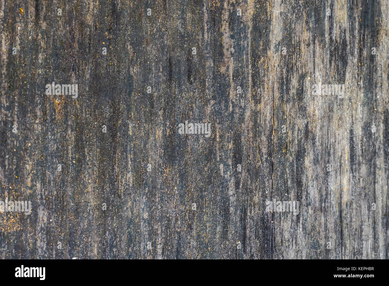The old wood texture with natural patterns and cracks on the surface as