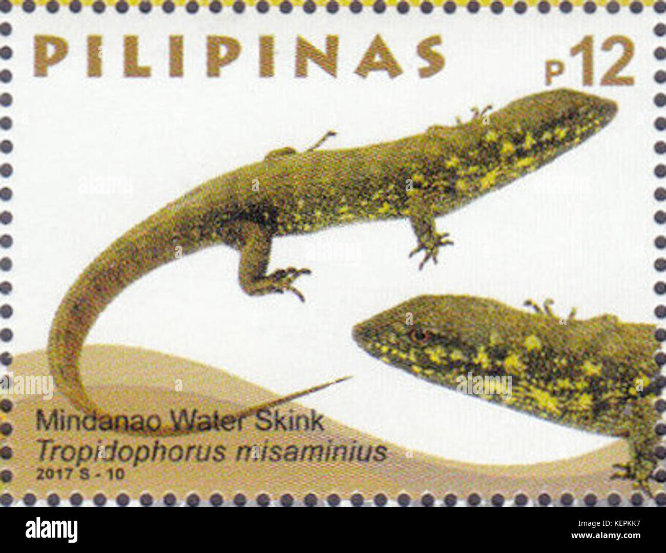 Tropidophorus misaminius 2017 stamp of the Philippines Stock Photo