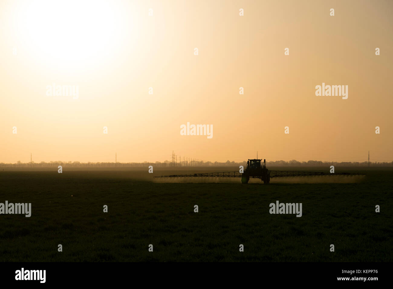 Tractor with high wheels is making fertilizer on young wheat. The use of finely dispersed spray chemicals. Tractor on the sunset background. Stock Photo