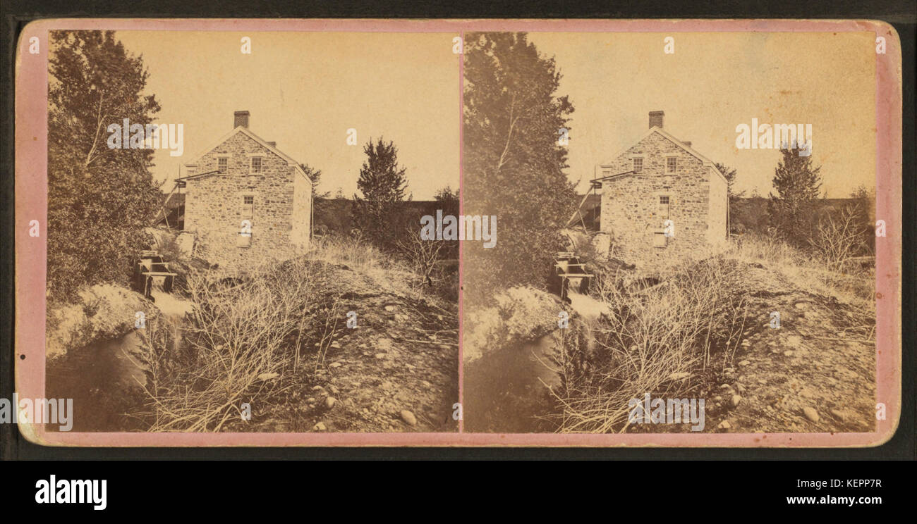 Saw mill (sawmill) in Ogden, Utah Ter, from Robert N. Dennis collection