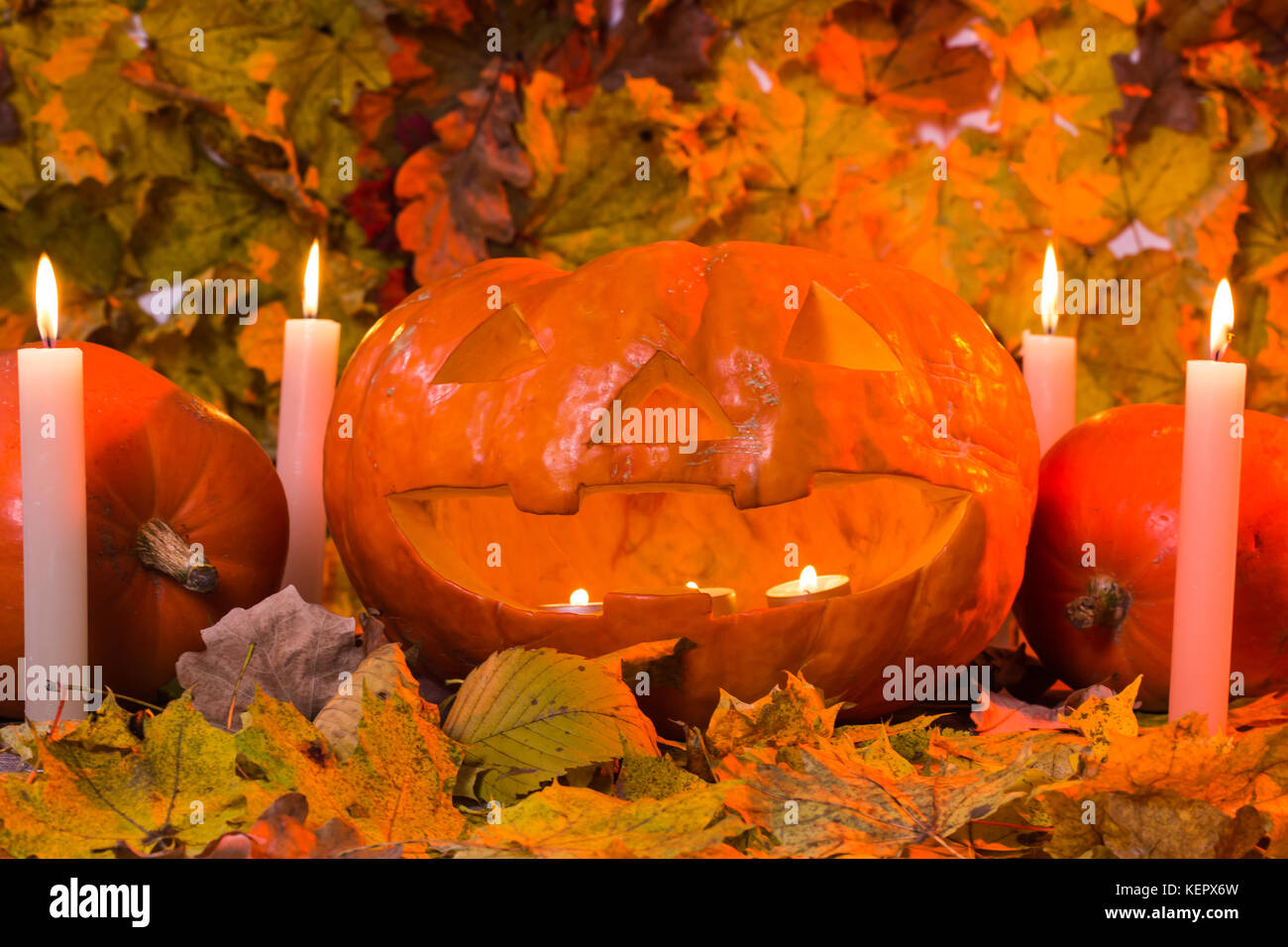 Halloween pumpkin lantern with dry leaves and candles Stock Photo - Alamy