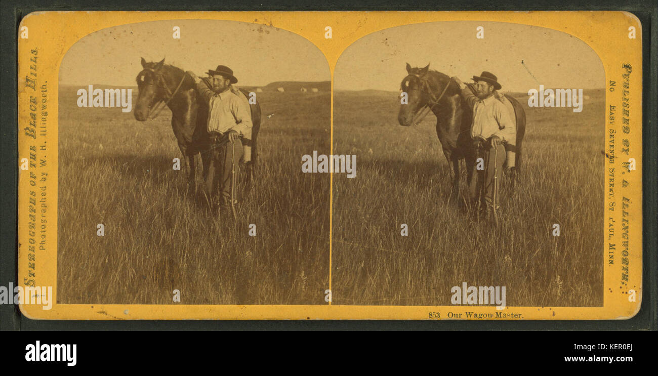 Our wagon master, by Illingworth, W. H. (William H.), 1842 1893 Stock