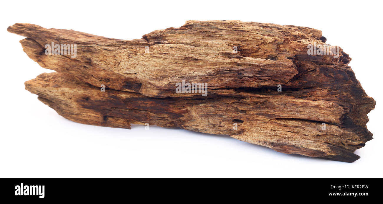 Natual driftwood over white background Stock Photo