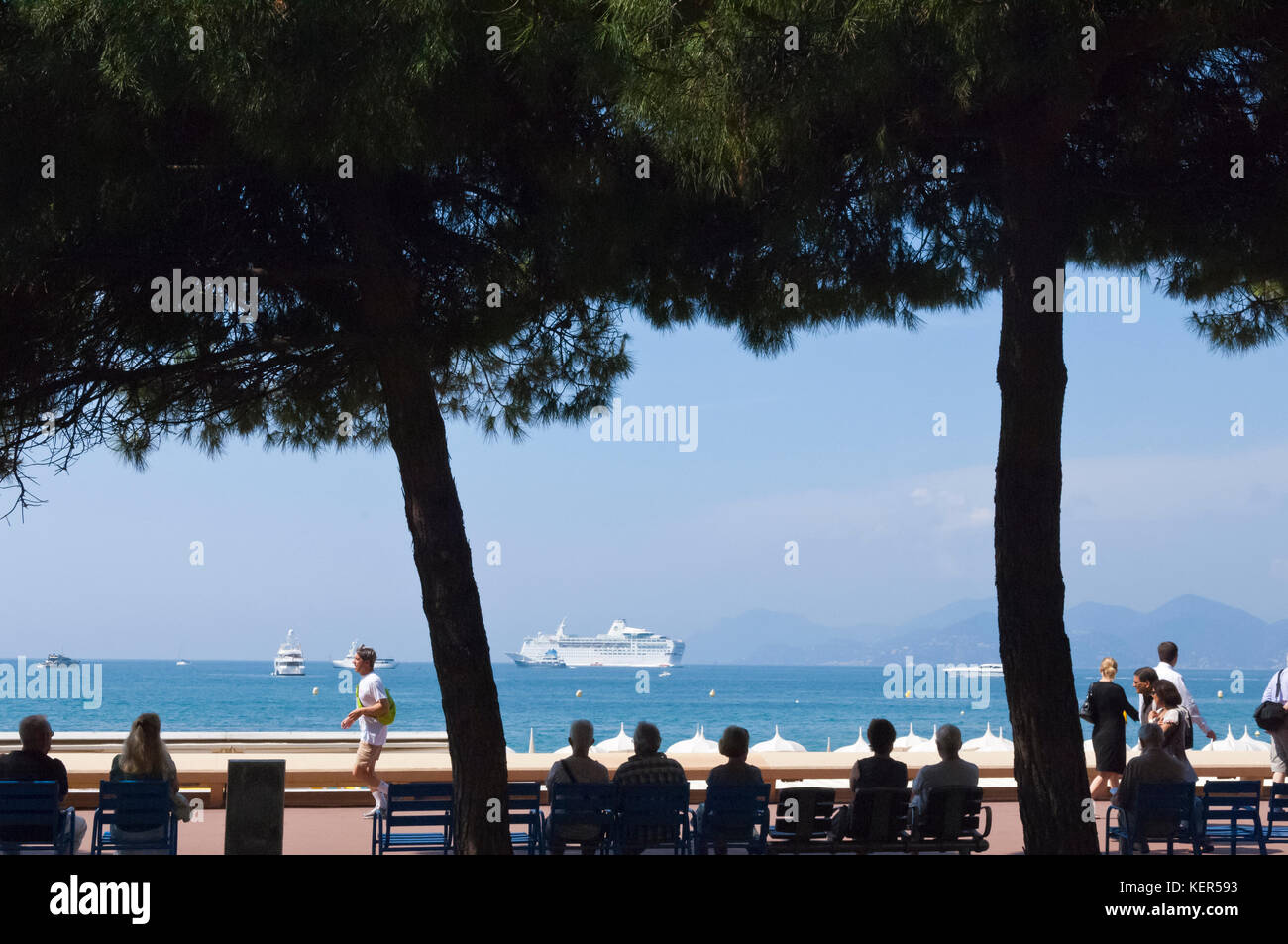 People sitting under pines at La Croisette in Cannes, France Stock Photo