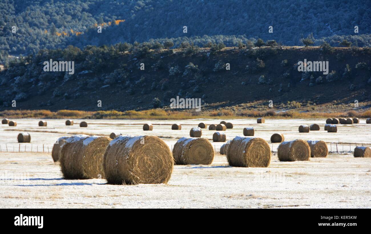 Hay stored outdoors hires stock photography and images Alamy