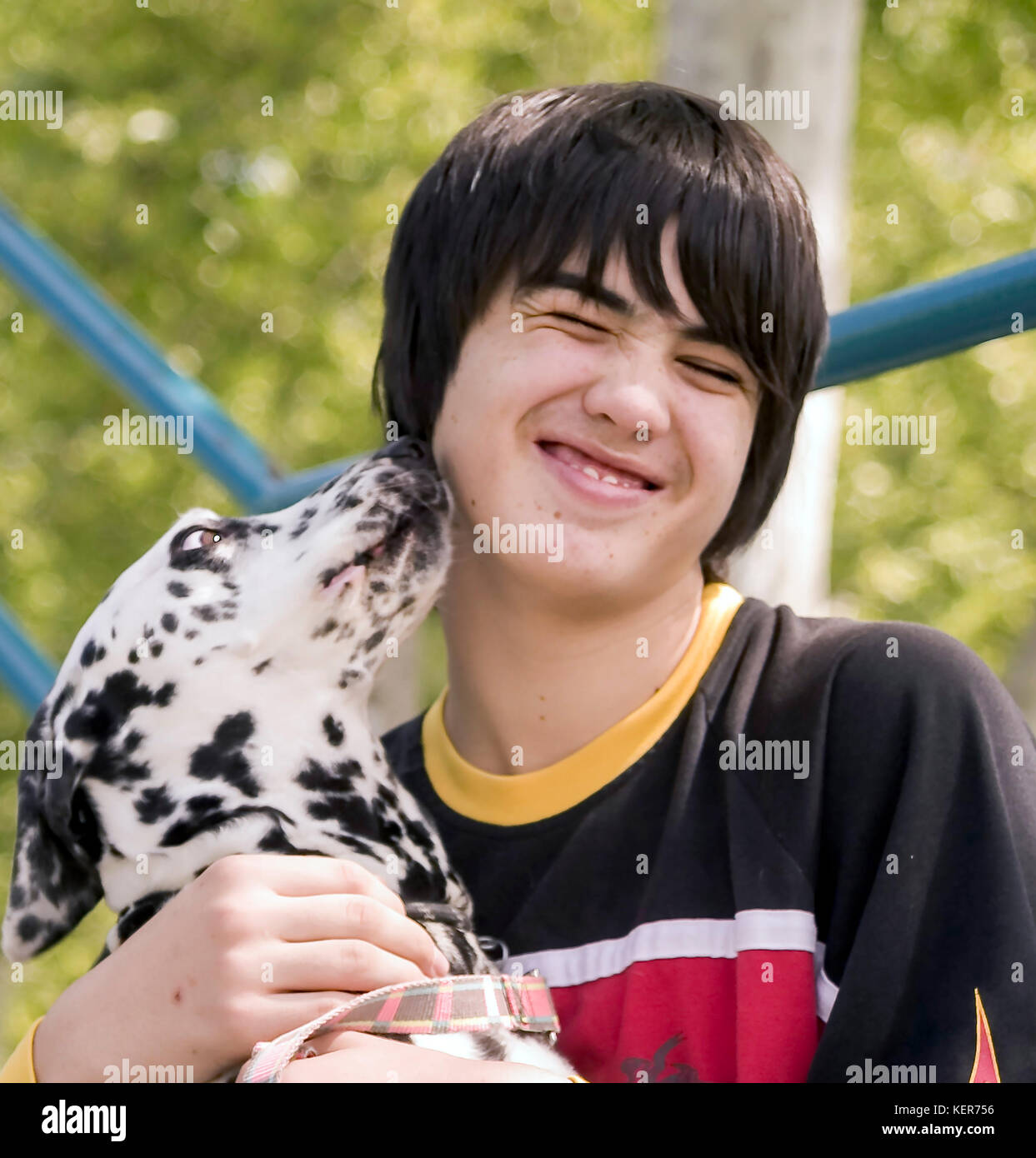 Young person holding playing dog licking face shows affection love loyalty devoted grimace smile grins cropped front view close © Myrleen Pearson Stock Photo