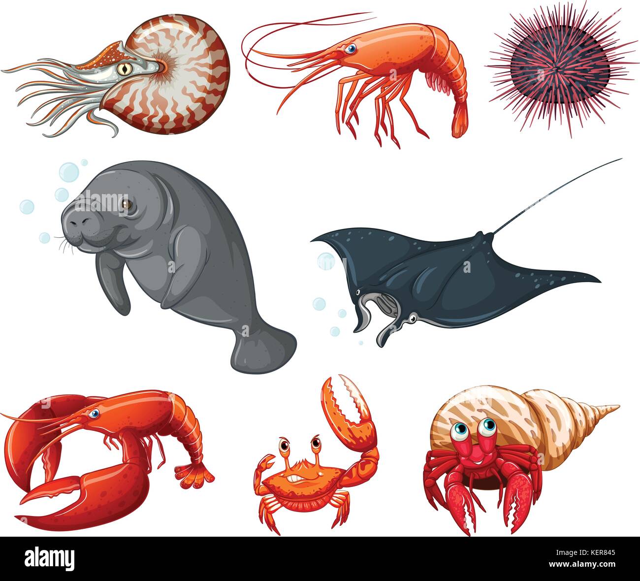 Illustration of different types of sea animals Stock Vector Image & Art
