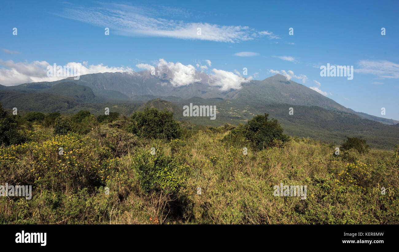 View of Mount Meru and Little Meru, Arusha National Park, Tanzania