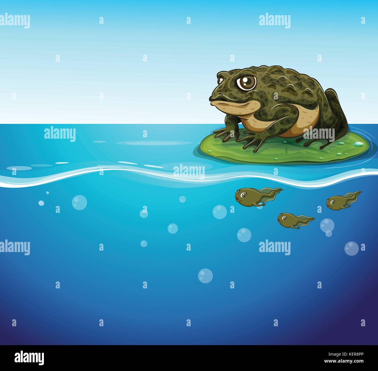 Illustration of a frog and three tadpoles in the water Stock Vector