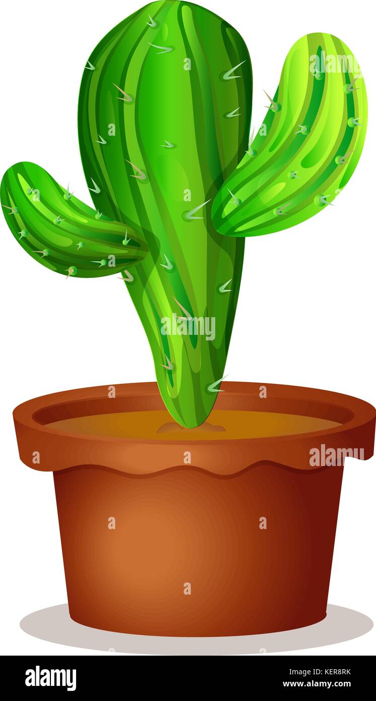 cactus in clay pot on stock photos cactus in clay pot on yellow christmas cactus for sale