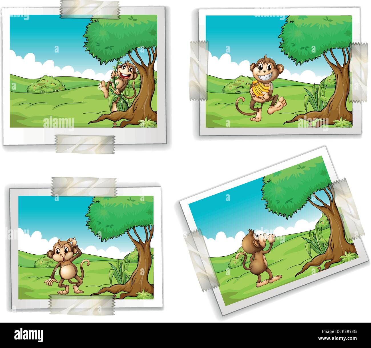 Illustration of four photographs of monkeys Stock Vector Image & Art ...