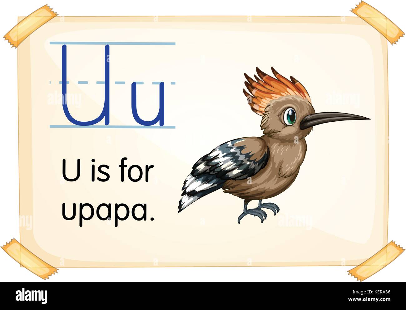 Flashcard letter a Cut Out Stock Images Pictures Alamy