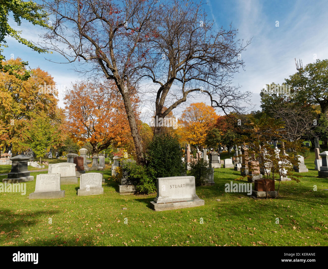 Quebec,Canada.Montreal's Mount Royal cemetery in the autumn Stock Photo
