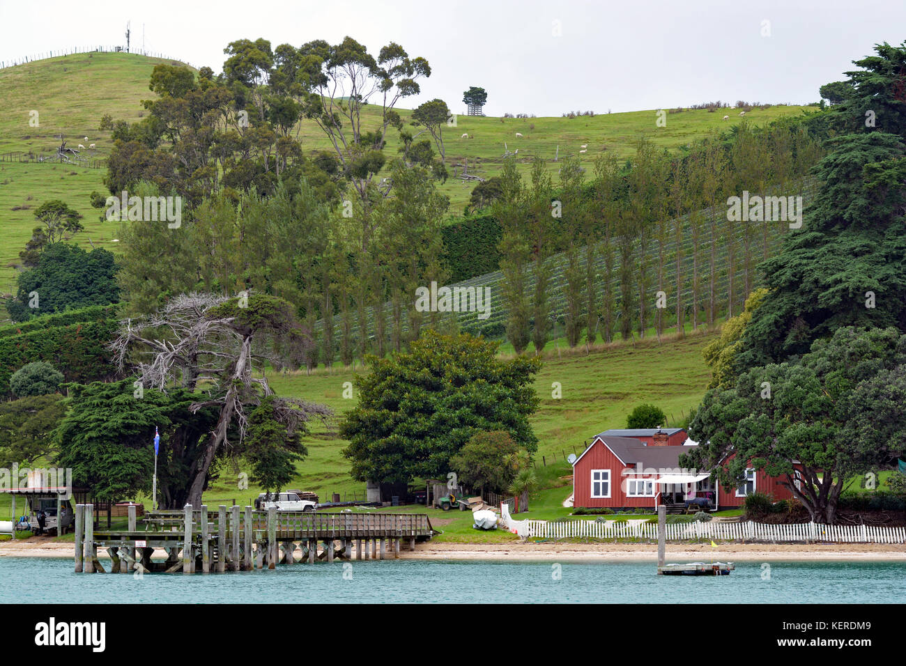 Homestead wharf  & vineyard Ponui Island Stock Photo