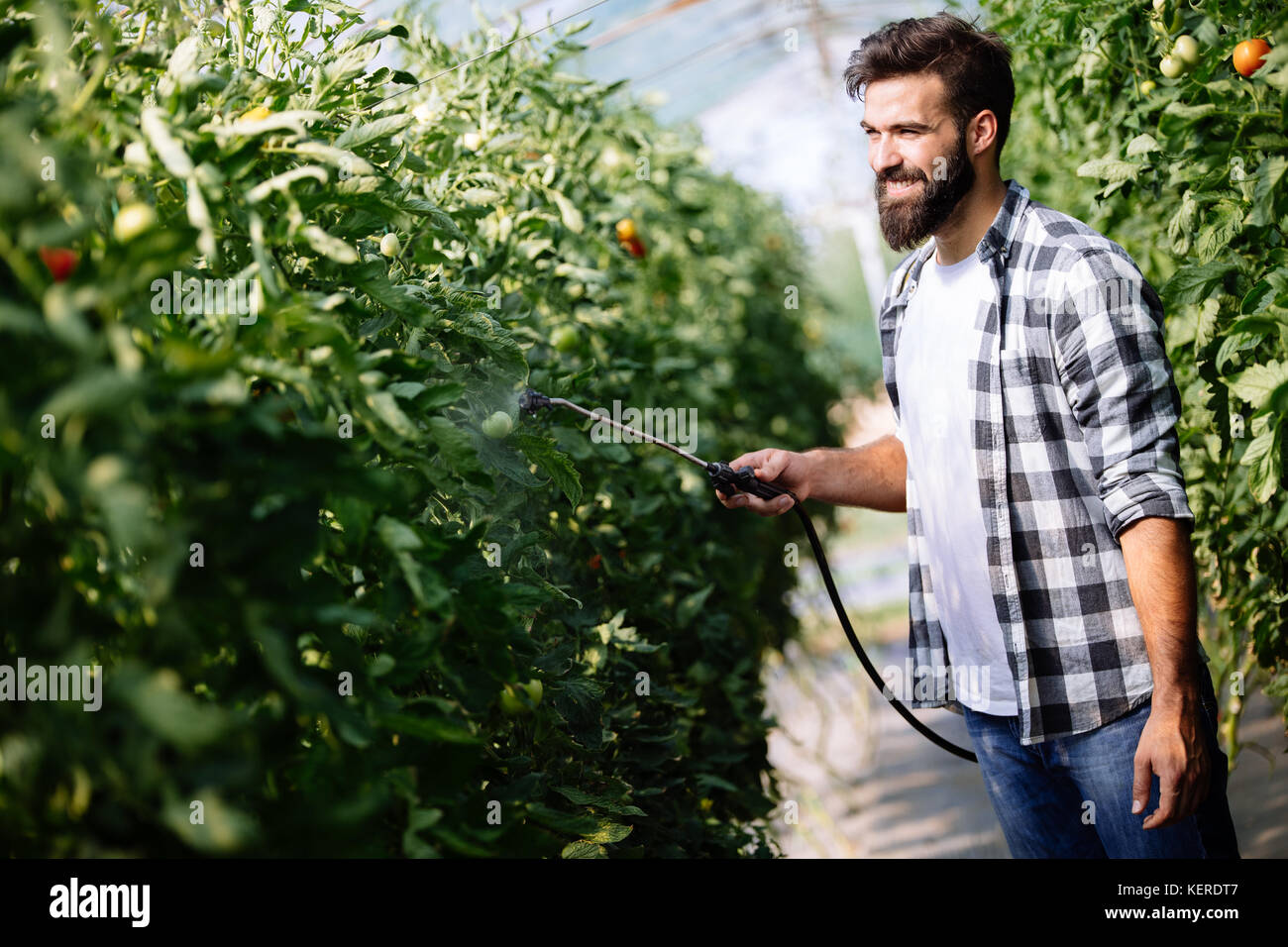 Young farmer protecting his plants with chemicals Stock Photo
