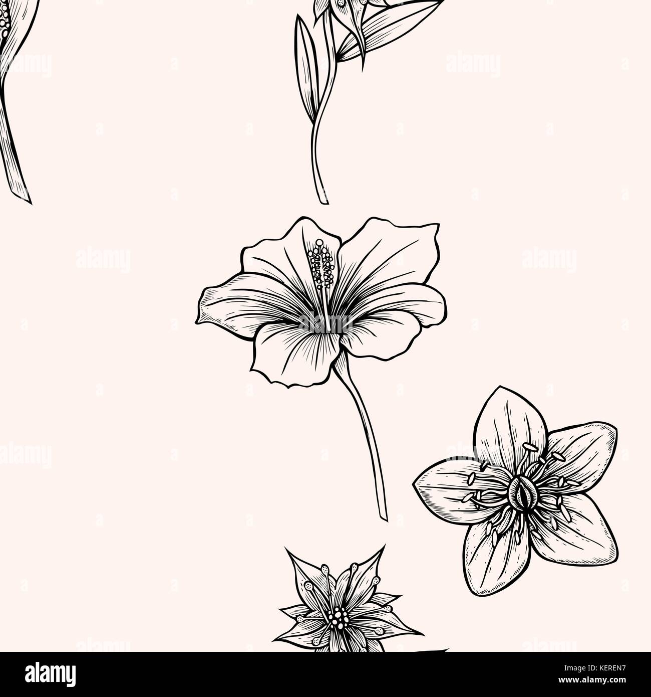Seamless pattern with flowers. Vector black and white illustration ...