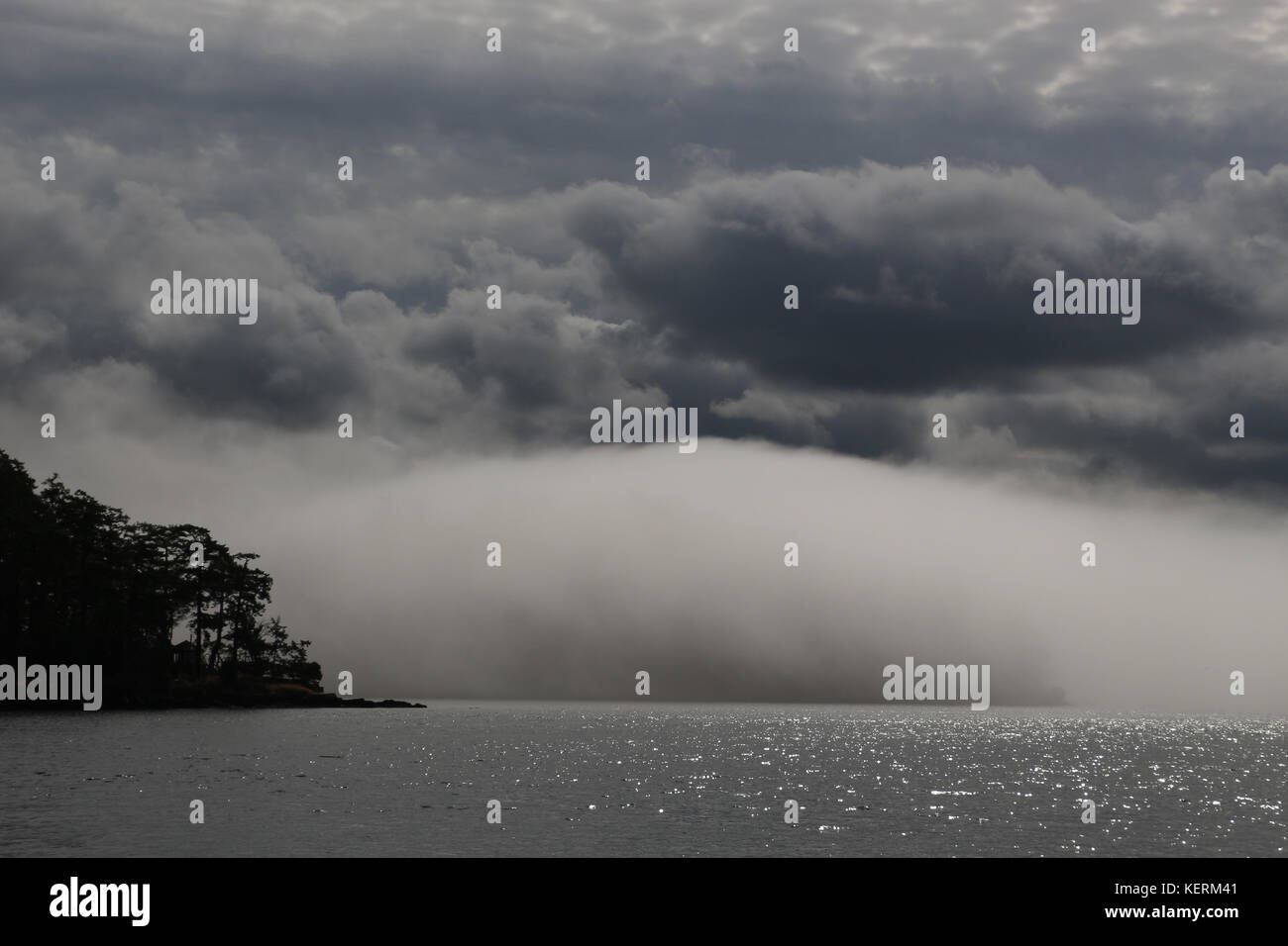 Huge fog bank rolling in from the Haro Strait, above San Juan Island