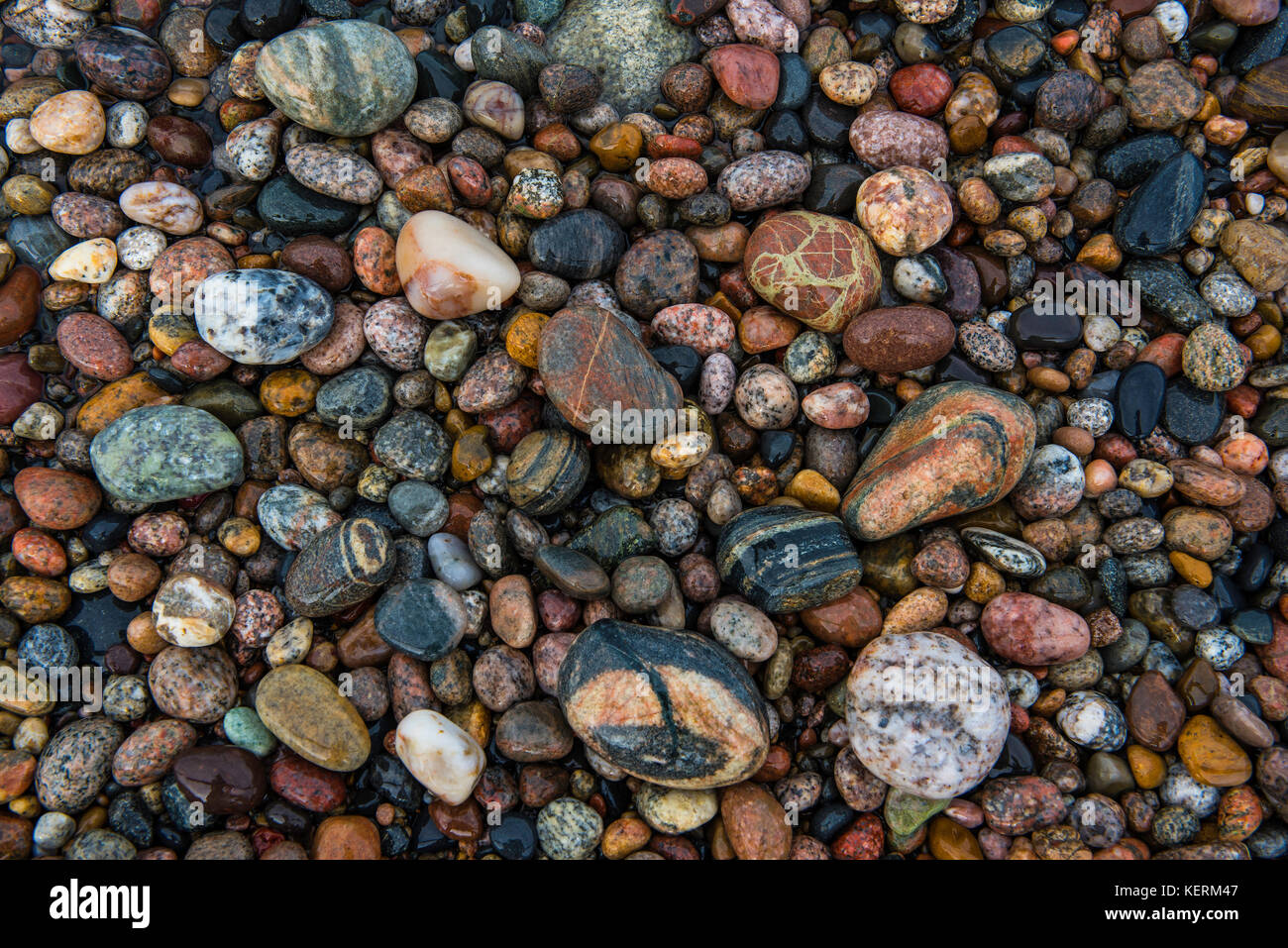 Cobblestone, Pictured Rocks National Lakeshore, Michigan, USA by Bruce Montagne/Dembinsky Photo Associates Stock Photo