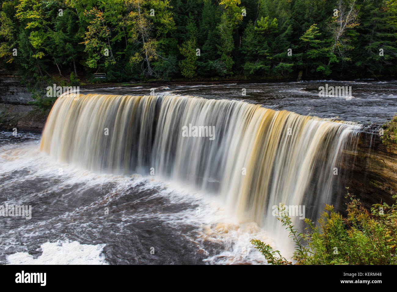 Tahquamenon Falls, upper falls, Michigan USA by Bruce Montagne/Dembinsky Photo Associates Stock Photo
