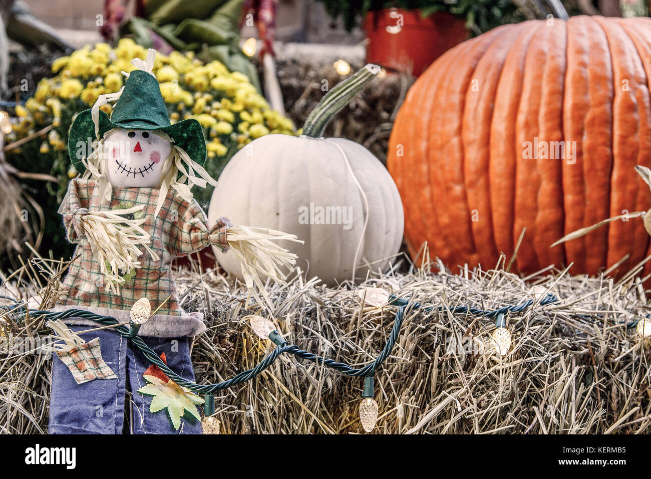 Halloween decoration with pumpkins, cloth scarecrow, lights, and hay. Stock Photo