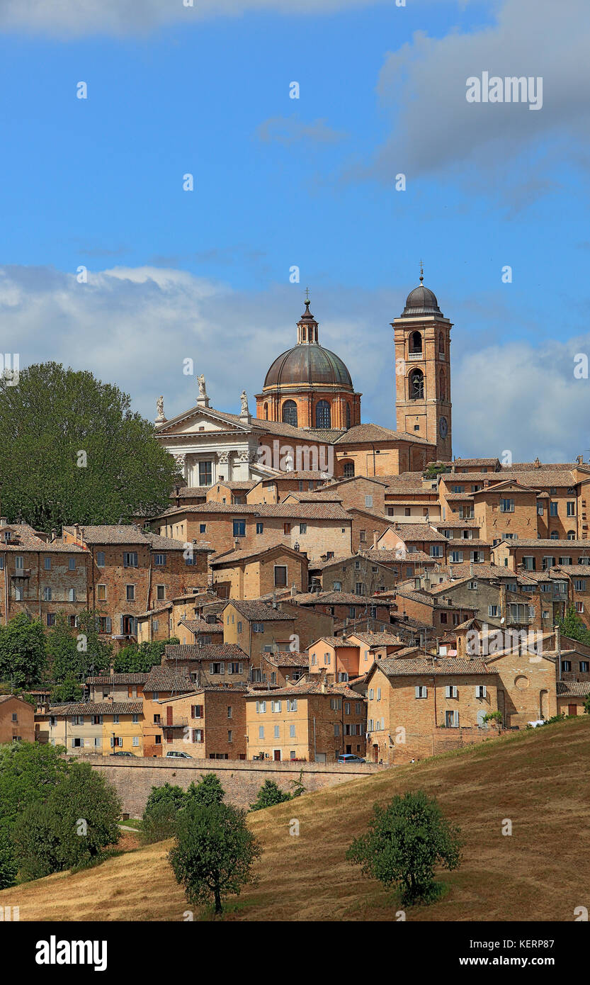 View of Urbino, with the Cathedral and the old city, Marche, Italy Stock Photo