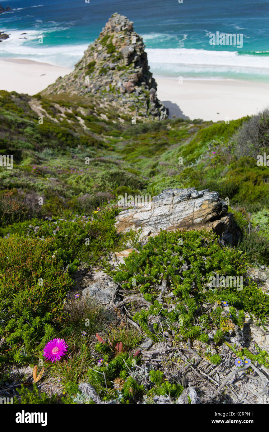 Cape Point is part of Table Mountain National Park and offers stunning views and an opportunity to hike or drive to explore meeting of two oceans. Stock Photo