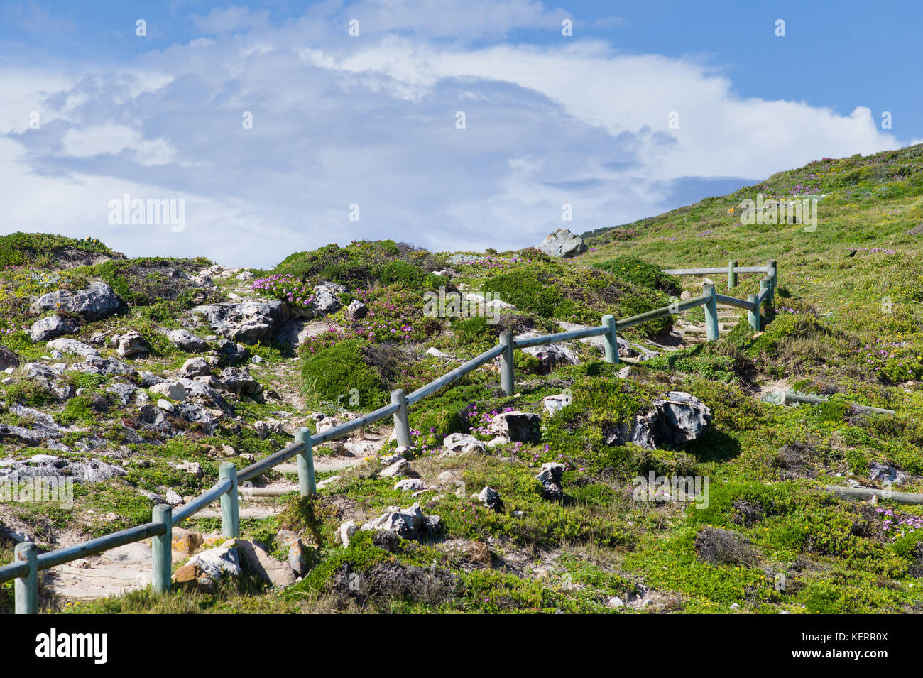 Cape Point is part of Table Mountain National Park and offers stunning views and an opportunity to hike or drive to explore meeting of two oceans. Stock Photo