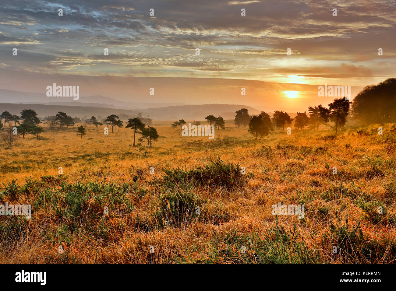 Woodbury common hires stock photography and images Alamy