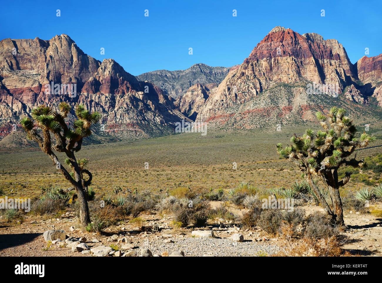 Red Rock National Conservation area, Las Vegas, Nevada Stock Photo