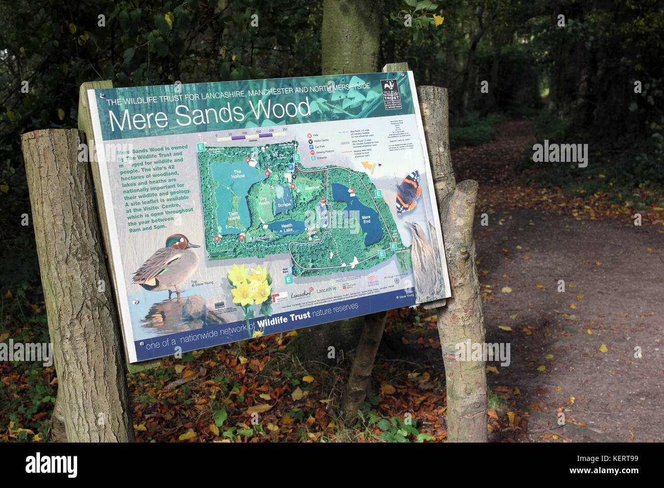 Mere Sands Wood Nature Reserve, Lancs, UK Stock Photo