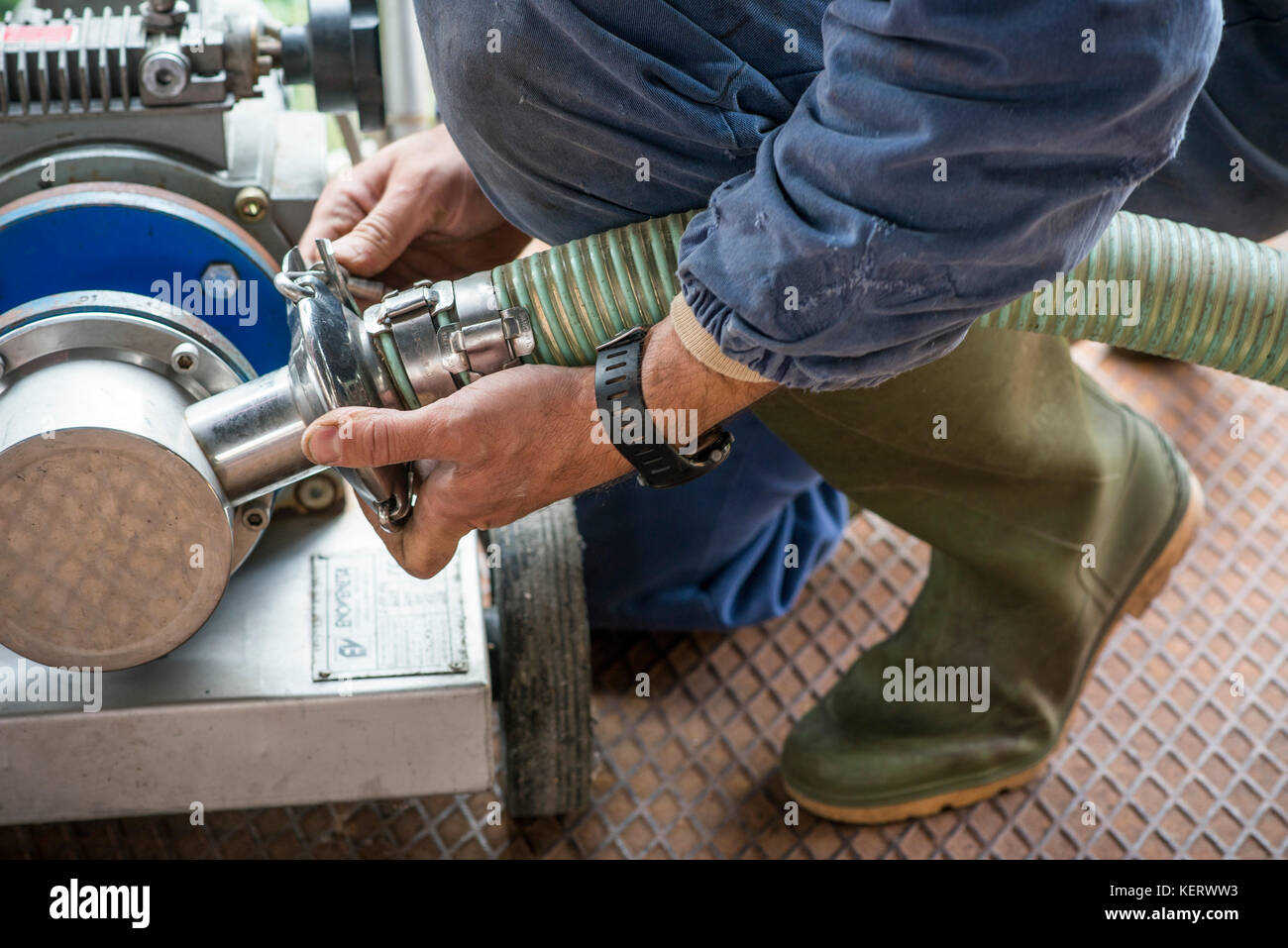 Worker at Winery, Gattinara, Piedmont, Italy 3 Stock Photo