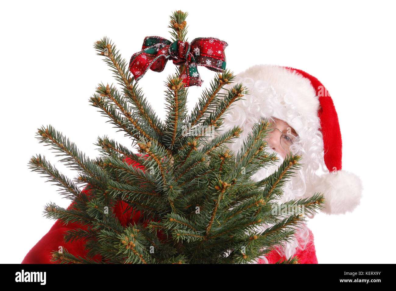 Santa Clause holding christmas tree as a gift - isolated on white Stock Photo