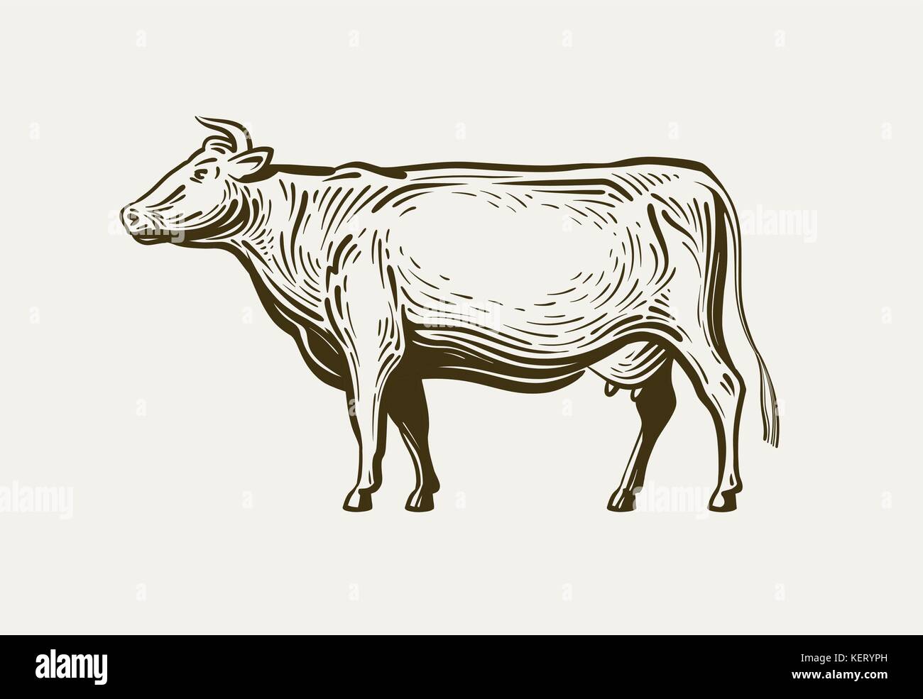 Cow standing, view profile. Farm animal, beef, milk. Sketch vector illustration Stock Vector