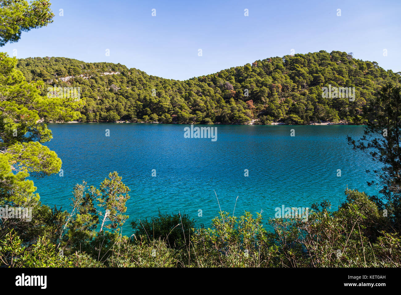 Mljet national park packed full of indigenous pine forests cover the steep slopes before reaching two inter-connected saltwater lakes. Stock Photo