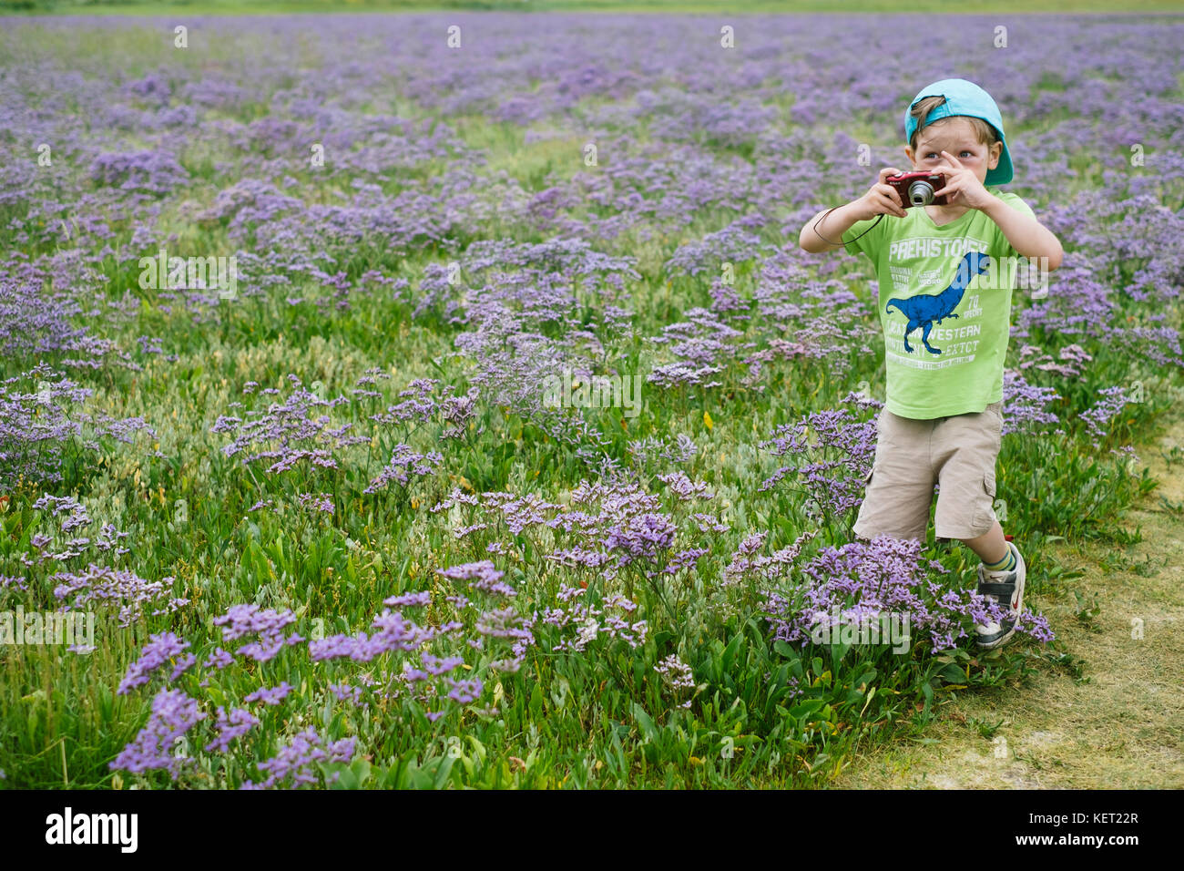 Child photographed in a meadow, Germany Stock Photo