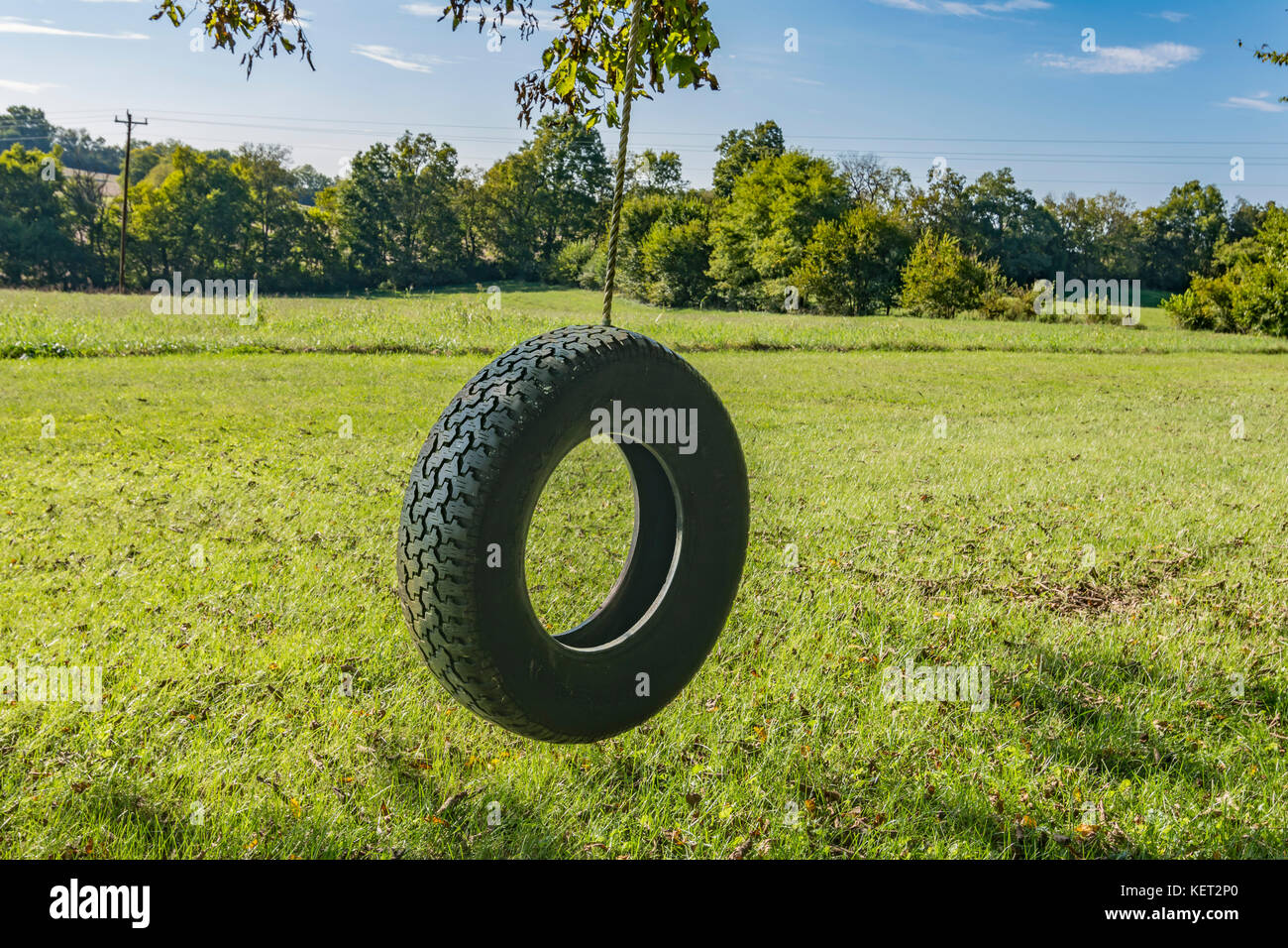 Tire swing hanging from tree hi-res stock photography and images - Alamy