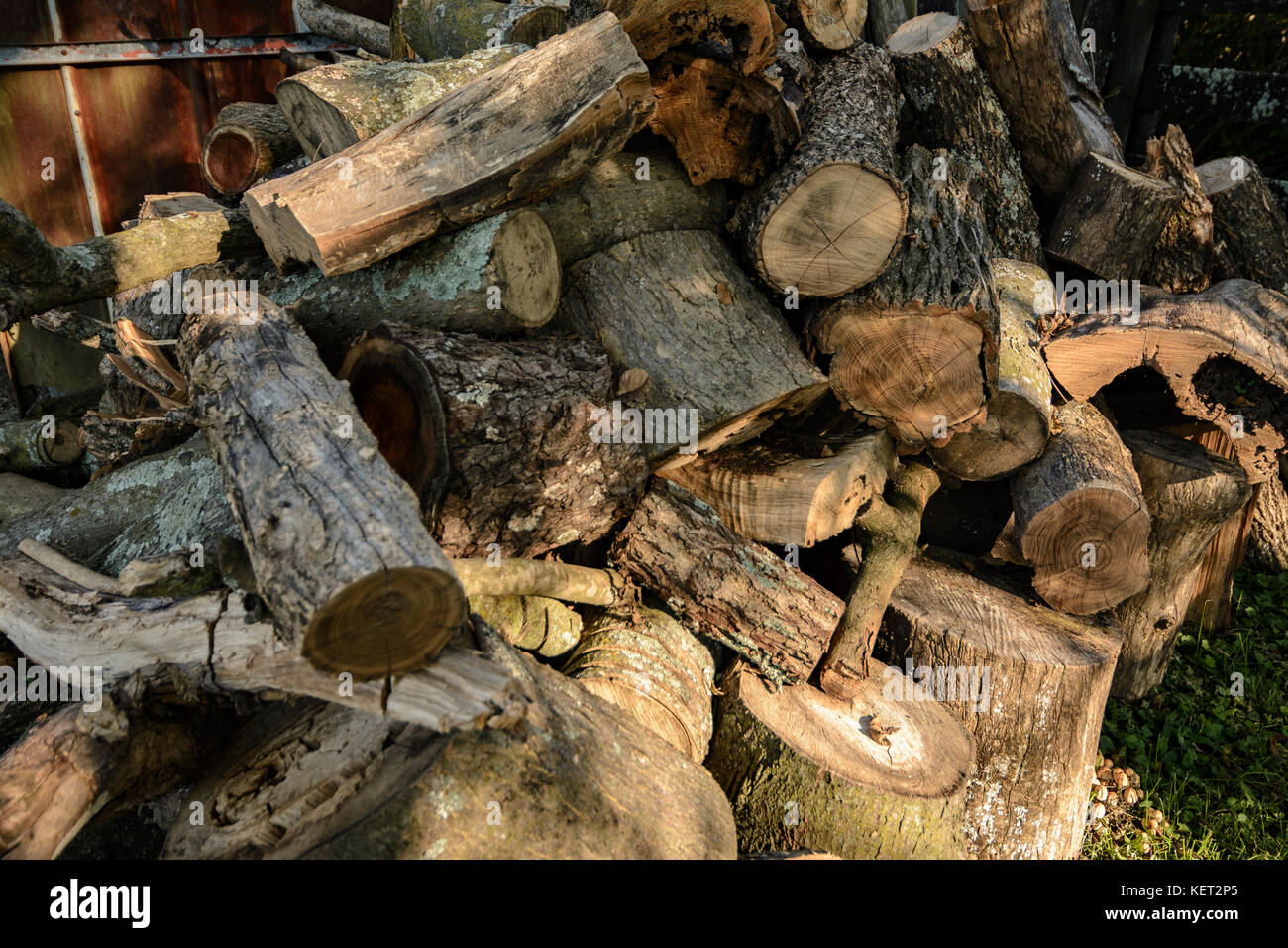 Pile of firewood waiting to be split Stock Photo Alamy